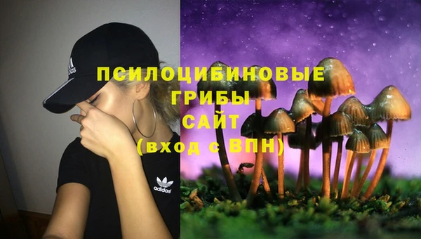 шишки Абинск