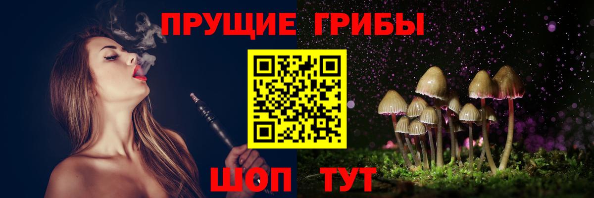 Алексеевка  Псилоцибиновые грибы GOLDEN TEACHER  Вход с VPN 